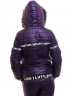 Женский зимний спортивный костюм на меху, артикул: AS8-SKBA-2386